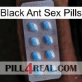 Black Ant Sex Pills viagra3